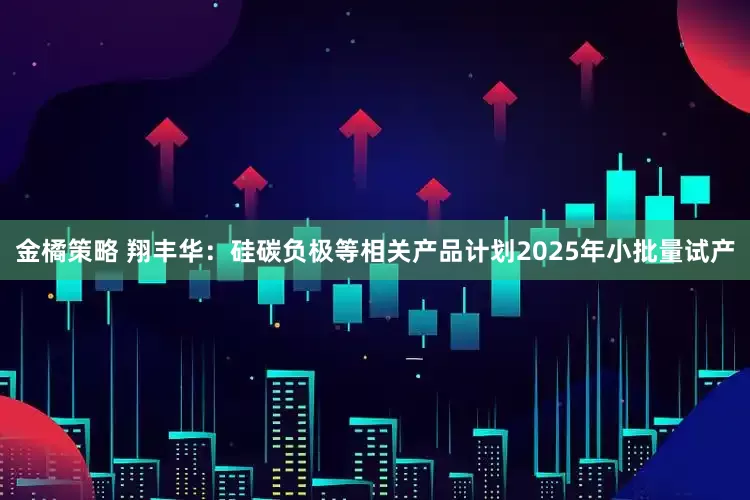金橘策略 翔丰华：硅碳负极等相关产品计划2025年小批量试产