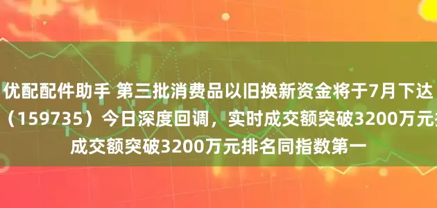 优配配件助手 第三批消费品以旧换新资金将于7月下达！港股消费ETF（159735）今日深度回调，实时成交额突破3200万元排名同指数第一