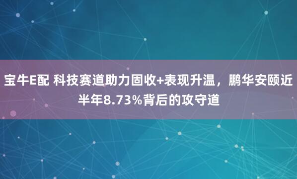 宝牛E配 科技赛道助力固收+表现升温，鹏华安颐近半年8.73%背后的攻守道