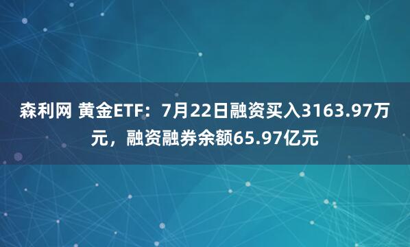 森利网 黄金ETF：7月22日融资买入3163.97万元，融资融券余额65.97亿元
