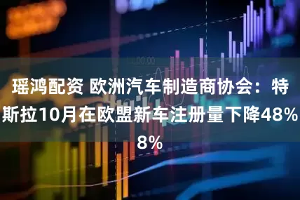 瑶鸿配资 欧洲汽车制造商协会：特斯拉10月在欧盟新车注册量下降48%
