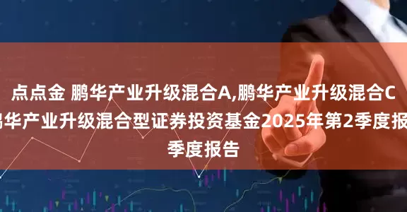 点点金 鹏华产业升级混合A,鹏华产业升级混合C 鹏华产业升级混合型证券投资基金2025年第2季度报告